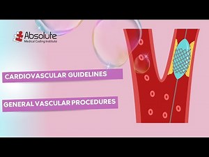 Cardiovascular System — General Vascular Procedure Guidelines