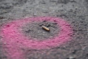 2024 elections | DA councillor gunned down in KZN