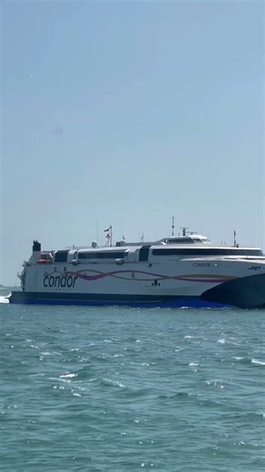 Looks Beautiful Condor