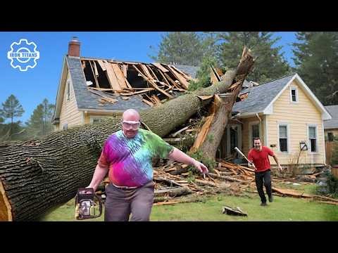 Idiots With Chainsaws: Tree Cutting Fails | Wood Cutting #1