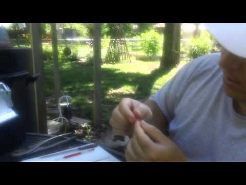 Queen Bee Grafting Tool - Make your own.