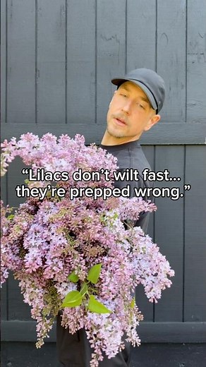 Lilacs don’t wilt fast… they’re being prepped wrong.