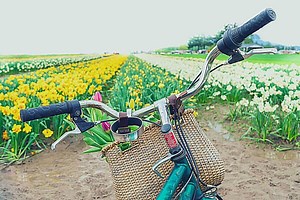 Looking For The Best Bike Cup Holder? We’ve Got You Covered!