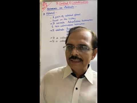 STD 10 SCIENCE CH 7 CONTROL AND CO-ORDINATION (LEC 10)
