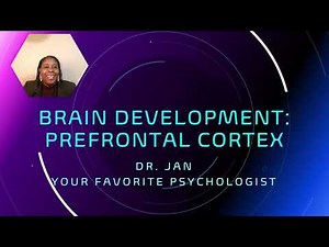 Prefrontal Cortex Brain Development