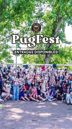 PugFest 2026 en Santiago: fiesta para Pugs y sus dueños - 30 Nov