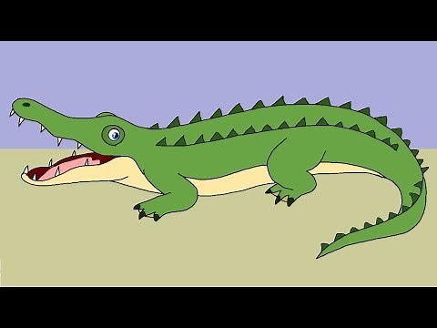 How to Draw a Crocodile. Drawing Alligator Step by Step