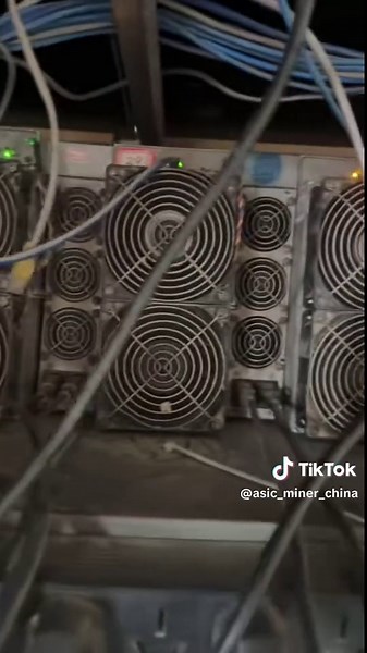 Miner ALICE on TikTok