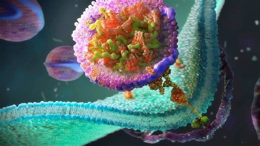 We now know how the first cell membranes formed to begin life on Earth