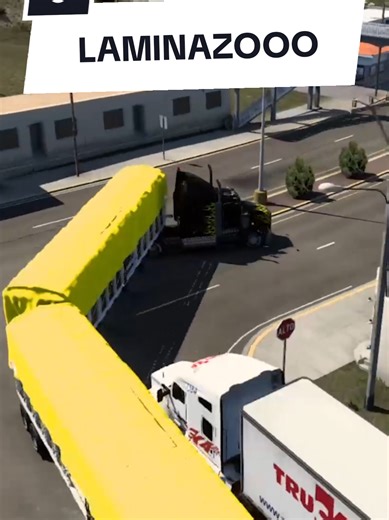 Aviento la lámina al Camión: Un Momento Inesperado