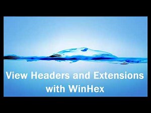 View Headers and Extensions with WinHex