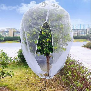 Fruit Tree Netting, 10ft x 10ft Premium Material Ensures Light Transmission, Water Drainage, and Proper Ventilation - Walmart.ca