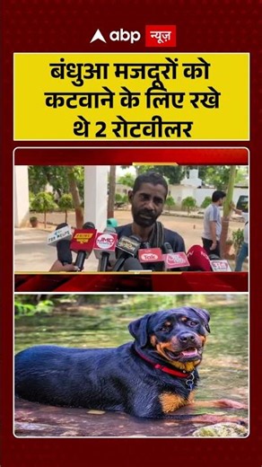 Muzaffarnagar Case : बंधुआ मजदूरों को कटवाने के लिए रखे थे 2 रोटवीलर | #RottweilerTerror