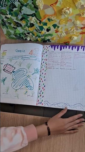 Page de présentation + code graphique + références artistiques