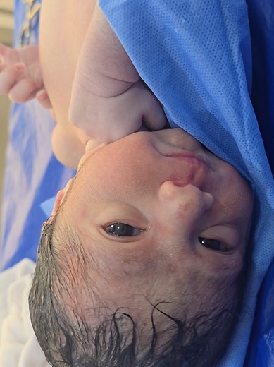 Cute Baby Infant Care Tips | Giving Birth to a Baby Cub