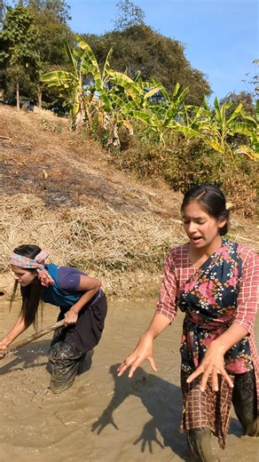 ধান লাগানোর জন্য জমি। #youtuber #short #natural #villagelife #shorts #youtuber #naturelovers