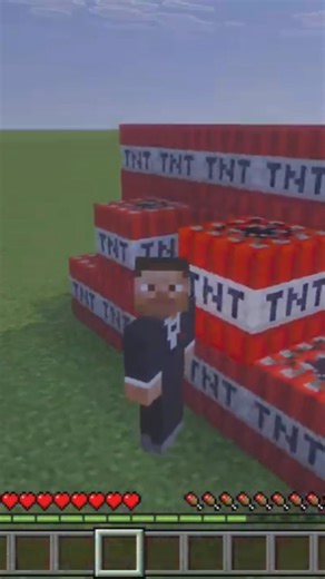 types of ultra stupid in minecraft