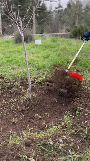 Kalite Garantili Ürünler Satışı