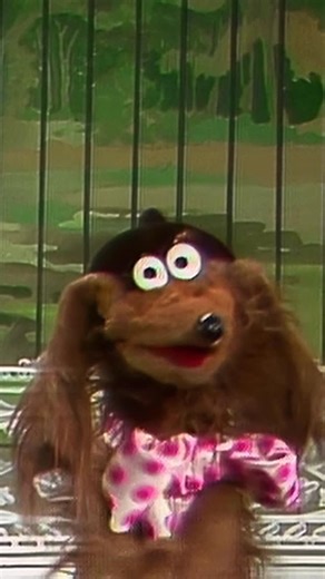 The Muppets on Instagram: "Poor Baskerville didn’t know that the position of furry funny-man has already been filled. Stream The Muppet Show on #DisneyPlus."