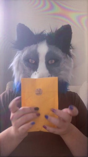 Unboxing Deltarune Fan Merch: A $12 Surprise!