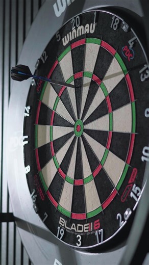 Best Darts Under £25: Throw Like a Pro