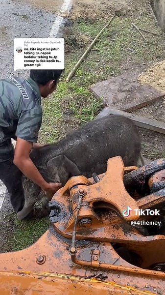 Pakdo me 96 on TikTok