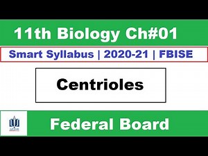 Centrioles Structure and Function Class 11 Biology, Ilmi Stars Academy
