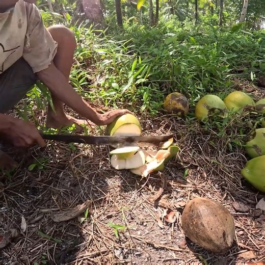 81K views · 1.2K reactions | 掠 I Survived 3 days Alone on a Deserted island - NO FOOD, NO WATER, NO FIRE ☠️ - get FDYS merch NOW - https://www.fielddaysshop.com  | Field Days | Facebook