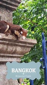 11K views · 203 reactions | En face du Wat Suthat, se trouve le Romani park où j'ai joué à cache-cache avec un écureuil et il a gagné !  | Thailandee.com - Guide du voyage en Thaïlande | Facebook