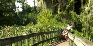 Phinizy Center’s ‘Puddle Ducks’ classes return to inspire kids