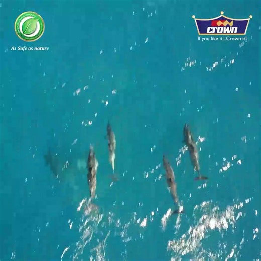 1.5K reactions · 16 shares | Are you tired of strong paint odour? Use Crown’s Low Volatile Organic Compound (VOC) paint for a fresher, healthier painting experience. Enjoy vibrant colours that are safe for the environment, because beauty shouldn’t come at the cost of comfort. Call +254 709887000 to learn more. #FeelsLikeNature #CrownPaints #LowVOCPaints #EcoFriendlypaints | Crown Paints - If You Like It, Crown It | Facebook