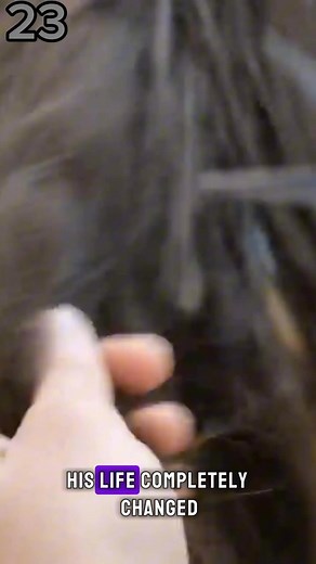 5K views · 21 reactions | From Homeless to Model Transformation | Daily videos | Facebook