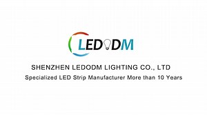 RGB Pixel LED Strip Programmable Magic Addressable LED Light Strip RGBW 5V 12V 24V WS2811 WS2812B UCS1903 SK6812 DMX512