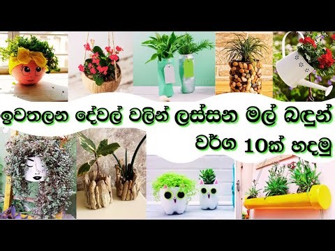 Smart & Low-Cost DIY Flower Pot Ideas ඉවතලන දේවල් වලින් ලස්සන මල් බඳුන් වර්ග 10ක් හදමු