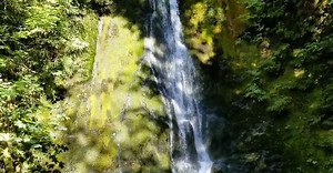 Автор видео на Pexels: Tom  Shamberger