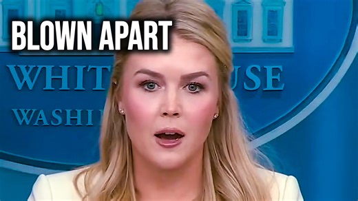 38K views · 1.2K reactions | Trump Press Secretary SINKS After Qatar Jet Lies Immediately Proven Wrong By Key Detail | The Damage Report | Facebook