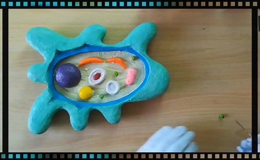 How to Make Amoeba 3D Model | Hand made model of Amoeba #Howto #biology #medical #amoeba #medicalschool #science #bio_craft #handmade