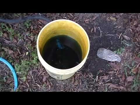 Homemade DIY Liquid Fertilizer Injector at Work!