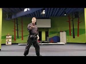 Crescent Hook and Back Kicks How to
