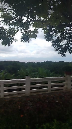 Ann Abatayo on Reels