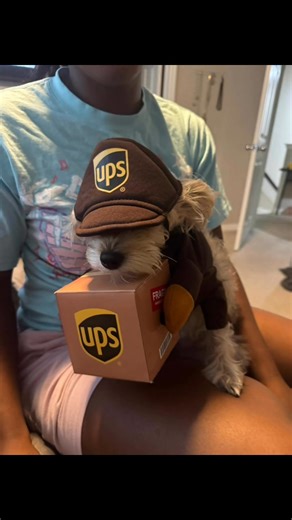 My Yorkie says happy Halloween | ReShawn Wynn