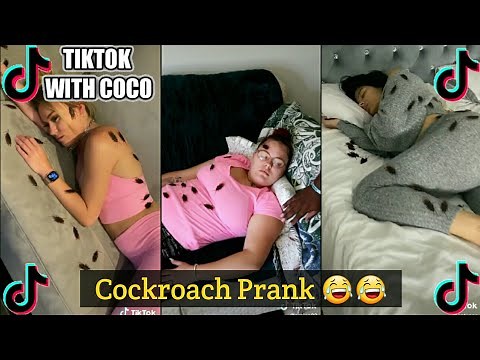 Cockroach Prank 😂😂 || TikTok Trend
