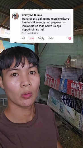 How to trin your chicken? #bantam #serama #backyardchickens