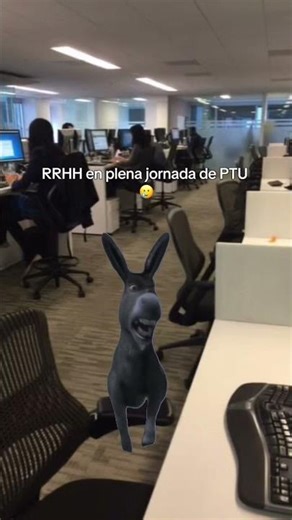 RRHH en temporada PTU 😅
