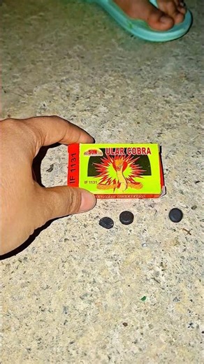 anisa lihat mamah nyalain petasan ular Cobra #trendingshorts