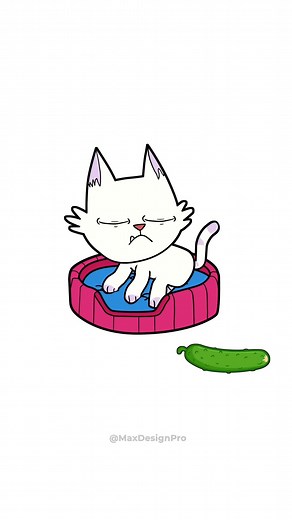 Unexpected Reaction: Boy Scares Cat with a Cucumber!