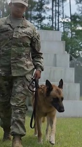 1.1K views · 125 reactions |  The Bond That Builds Readiness In...