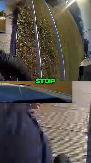 10K views · 105 reactions | An intense moment unfolds as police officers engage with a subject. The situation escalates rapidly, with commands given and shots fired. See the dramatic encounter as it happens. #PoliceEncounter #ShotsFired #LawEnforcement #CrimeScene #DramaticFootage | Body Camera Zero | Facebook