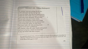 In a carefully planned essay, critically discuss how the poet o... | Filo