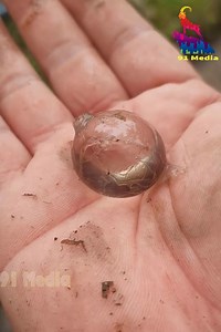 275K views · 419 reactions | OH MY GOD 殺 | My life | Facebook